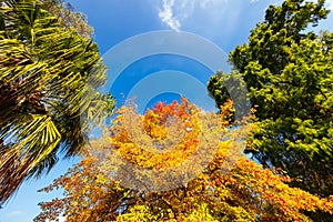 Royal Botanic Gardens in Melbourne Australia