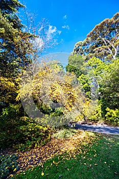 Royal Botanic Gardens in Melbourne Australia