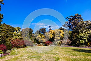 Royal Botanic Gardens in Melbourne Australia