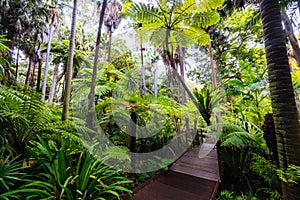 Royal Botanic Gardens in Melbourne Australia