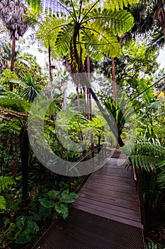 Royal Botanic Gardens in Melbourne Australia