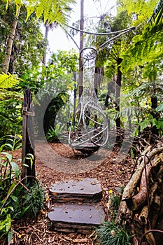 Royal Botanic Gardens in Melbourne Australia