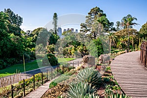 Royal Botanical gardens scenic view in Melbourne VicAustralia