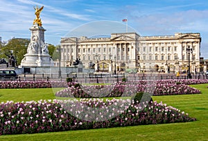 Royal Buckingham palace in spring, London, UK
