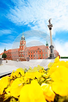 Royal castle and Zamkowy square