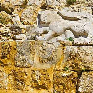 Royal emblem of Sultan Baybars