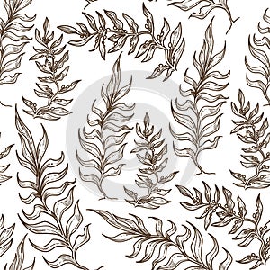 Royal fern leaves, tropical decoration or seaweed seamless pattern