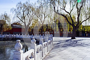 The Royal Garden in Qing Dynasty photo