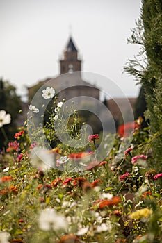 Royal gardens with plants, colourful flowers and insects