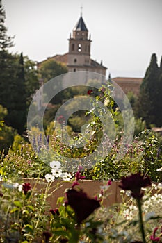 Royal gardens with plants, colourful flowers and insects