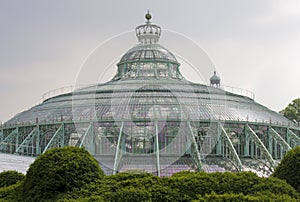 Royal Greenhouses in Brussels