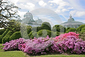 The Royal Greenhouses in Laeken photo