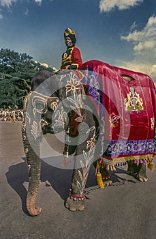 Royal Guard on Elephant Parade in Mysore Dasara procession Karnatala