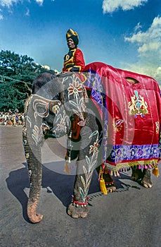 Royal Guard on Elephant Parade in Mysore Dasara procession