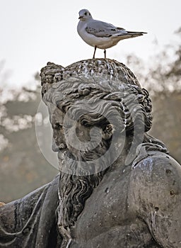 Royal Lazienki park in Warsaw