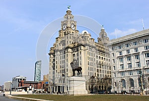 Royal Liver building and King Edward VII statue