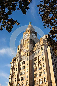 The Royal Liver Building, Pier Head, Liverpool