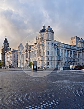 Royal Liver and Cunard building photo