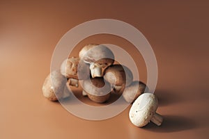 Royal mushroom champignons on beige background. vegetarian food. high protein meal. whole raw cultivated brown mushrooms