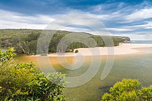 Royal National Park landscape near Sydney , New South Wales, Australia