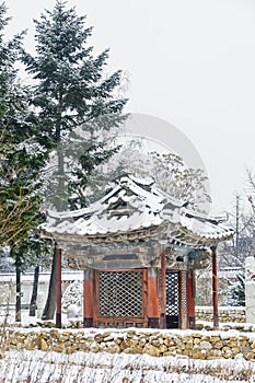 Royal Palace have snowy in winter season