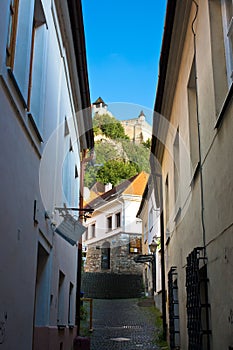 Royal palace in terecin