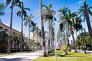 Royal Palm Way boulevard in Palm Beach, Florida