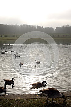 Royal park in France