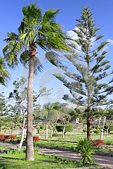 Royal Park Montazah, Alexandria. Egypt.