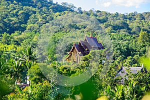 Royal Pavilion or Hor Kham Luang Building with Tree Foreground in Chiang Mai Province