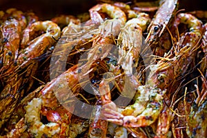 Royal prawns, seafood on the grill on the stove, on the street food market. Shrimp as background.
