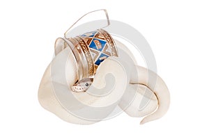 Royal Python, or Ball Python on white