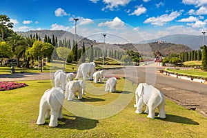 Royal Ratchaphruek Park in Chiang Mai