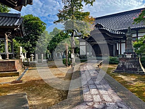 Royal Residences: Kanazawa Castle Amidst Lush Gardens, Ishikawa, Japan