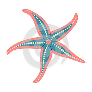 Royal Starfish flat icon. Sea animal cartoon style. Echinoderm. Underwater world photo