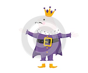 Royal Vector Illustration in a cartoon style: his majesty the King isolated. Happy Medieval German King or Holy Rome Emperor