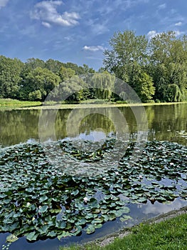 The royal Wilanow Palace in Warsaw, Poland.