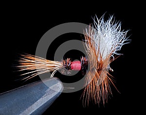 Royal Wulff Dry Fly