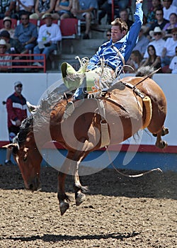 Royce Ford at the Greeley Stampede (Editorial)