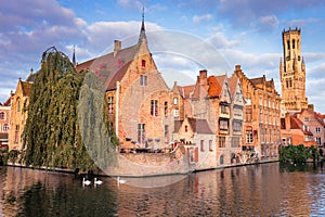 Rozenhoedkaai canal reflection at sunrise and swans line, Bruges