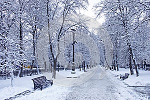 Rozhdestvensky boulevard, garden ring in snowfall
