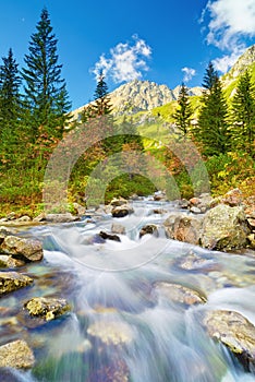 Stream High Mountains Tatras Carpathians landscape water