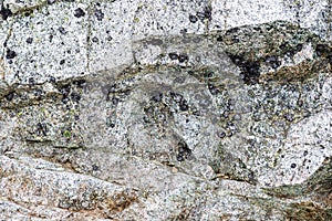 Rpcky mountain top details in slovakian Tatra