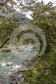 Rpouteburn river - Fijordland National Park photo