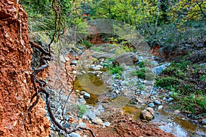 rriver between rocks inse the forest photo
