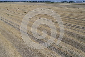 Rround bales in a field