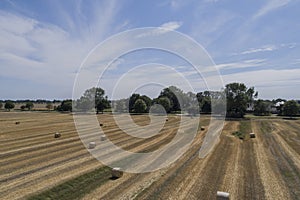 Rround bales in a field