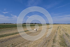 Rround bales in a field