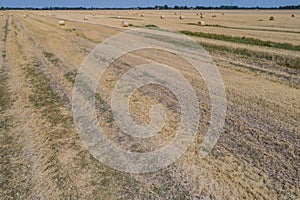 Rround bales in a field