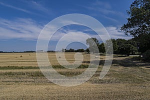 Rround bales in a field